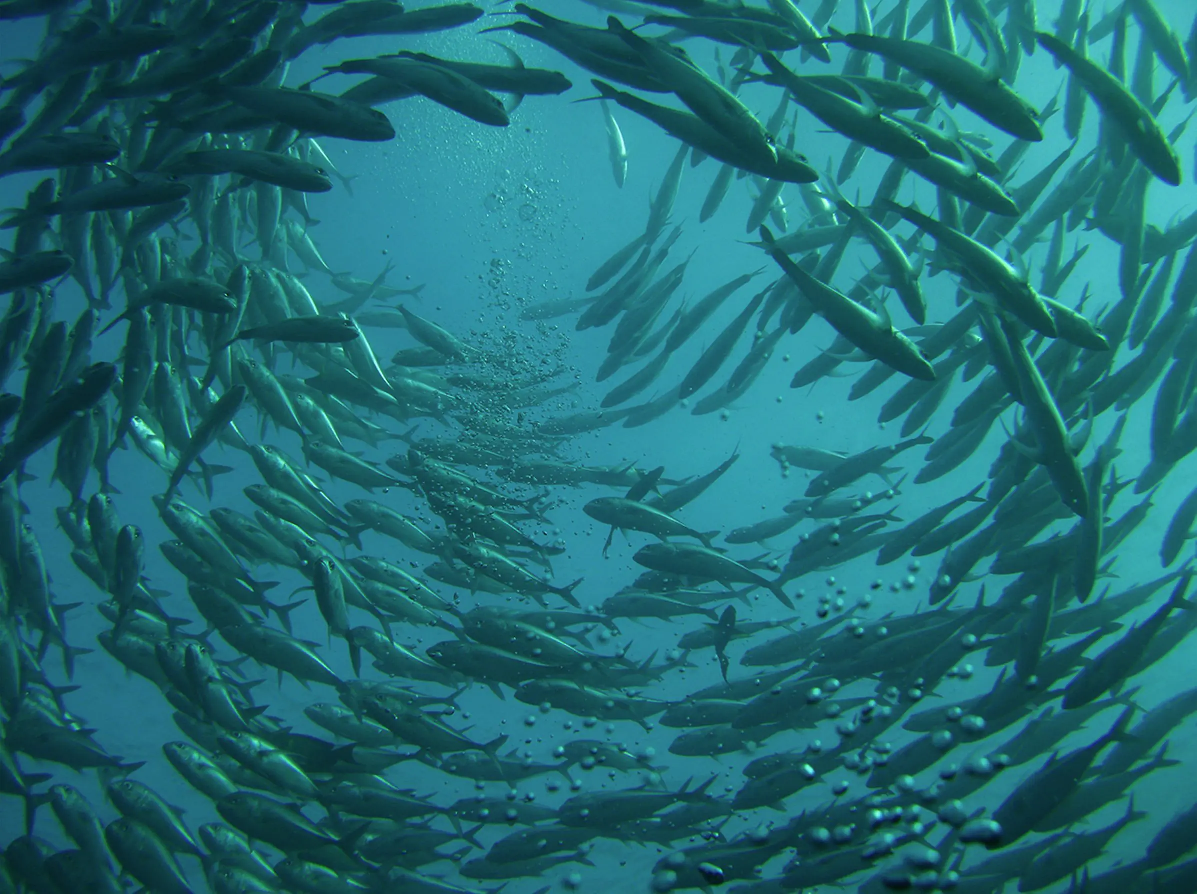 Metaforenspel Metaforenspel