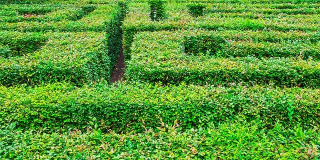 Verhalenstrijd Verhalenstrijd