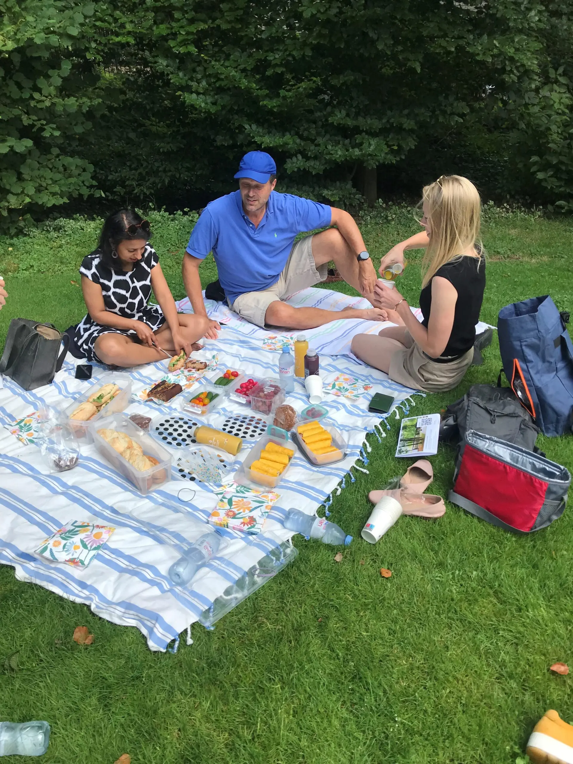 Common Eye - picknick